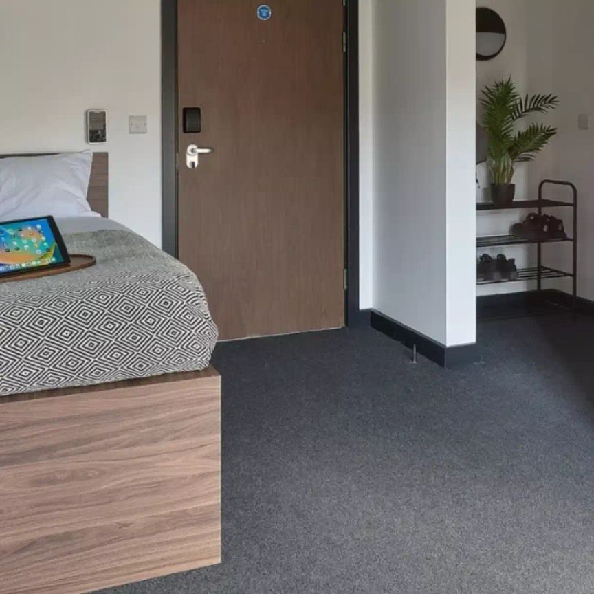 Gold Studio - Photo 1