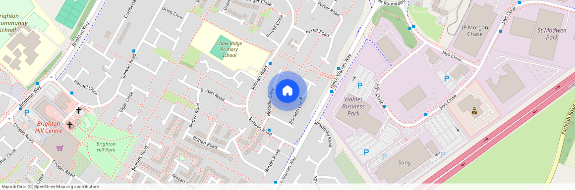 Borodin Close, Basingstoke, RG22