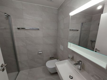 A LOUER - Magnifique appartement 2,5 pièces récent (2024) de standing - Foto 5