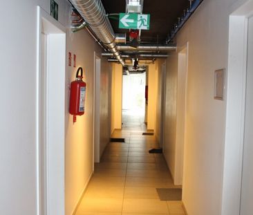 't Hoge 11 - Photo 1
