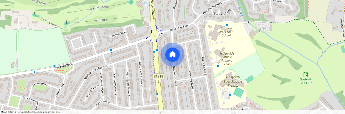 Strathmore Road, Gosforth, Newcastle upon Tyne, Tyne and Wear, NE3 5JS