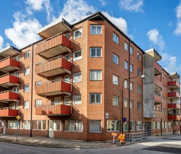 Floragatan, Malmö - Photo 1