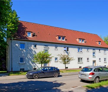 Demnächst frei! 2-Zimmer-Wohnung in Marl Hüls - Photo 2