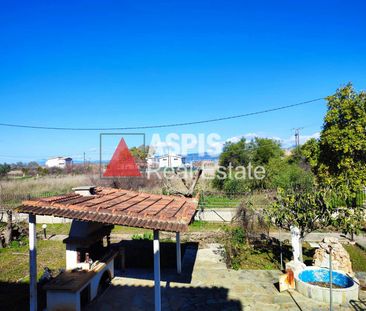 Μονοκατοικία, προς ενοικίαση Κ. Σκάλας Ωρωπού Κωδικός 2172182 - Photo 4