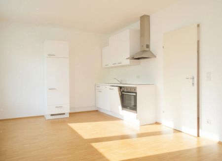 Sonnige Garconniere mit AllgGarten nahe CITY PARK - Foto 3