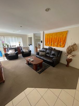 Pacific Pines - Photo 1