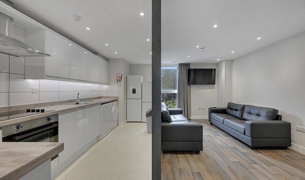 Modern 6-Bedroom, 6-Bathroom City Centre Apartment New Build Near Hallam University - Photo 1