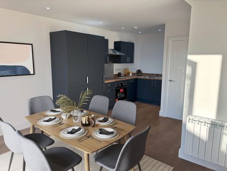 The Collins - Photo 4