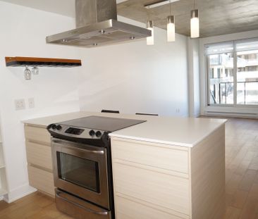 235 Rue Peel, Montréal (Le Sud-Ouest), QC H3C - Photo 1