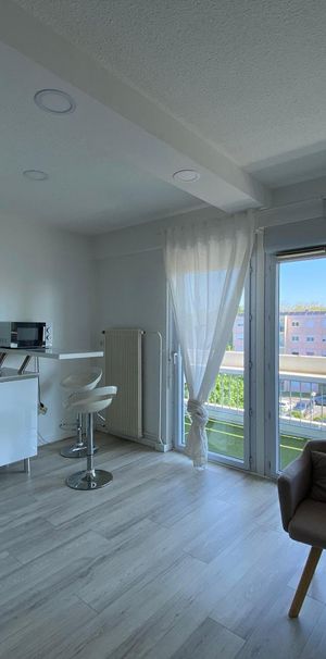 Location Appartement 1 pièce 29m² MACON 71000 - Photo 1