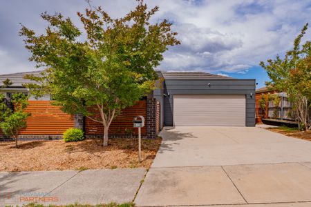 24 Catalano Street, Wright ACT 2611 - House For Rent | Domain - Photo 5