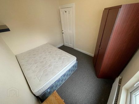 3 St Albans Gardens, Belfast, BT9 5DR - Photo 4