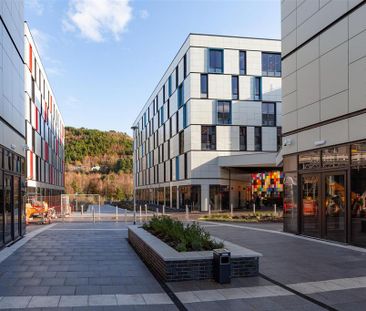 1 bedroom in a flat share to rent - Photo 6