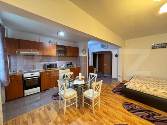Garsoniera de inchiriat, 37 mp, parter, Lapus - Photo 1