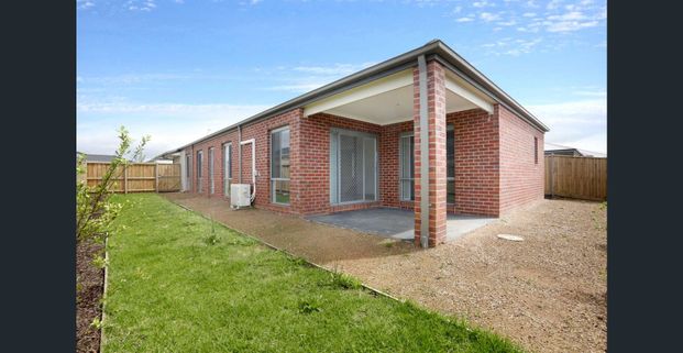 Stop looking, you've found it. - Photo 1