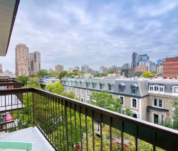 539 Prince-Arthur west — 1 Bedroom - unit 20 - Photo 6