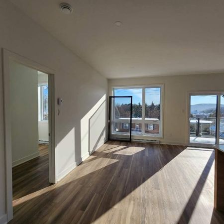 Grand 5 1/2 Sainte-Adèle Dernier étage - Photo 4