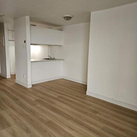 Studio - Montréal - $1,245 /mo - Photo 4