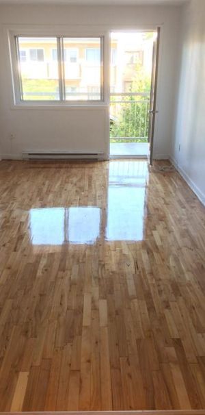4 ½ Rosemont (Montréal), Rénové, eau chaude inclus, Libre juillet - Photo 1