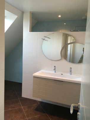 Location Appartement 3 pièces 114m² ENTZHEIM 67960 - Photo 1