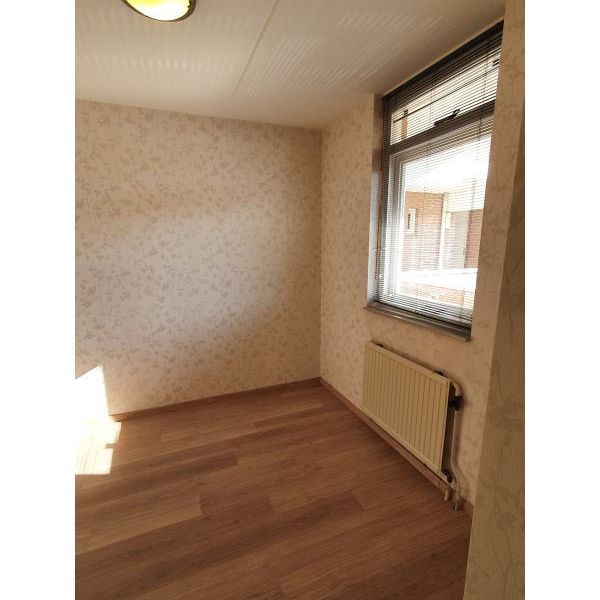 Lodewijk Napoleonplein - Foto 1