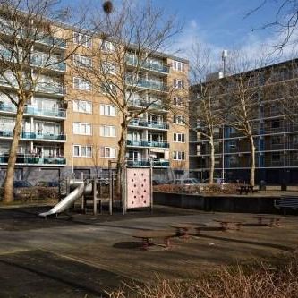 Plutostraat, 2402 XE Alphen aan den Rijn, Nederland - Foto 1