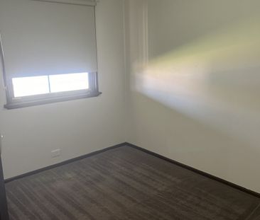 Don't Miss This 3x1 Well Located With A Large Backyard. - Photo 3