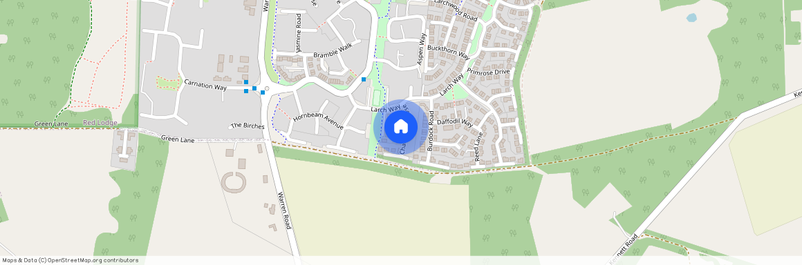 Chamomile Close, Red Lodge, IP28 8XY