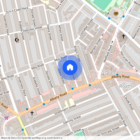 Alfred Street, CF24 4TY, Roath