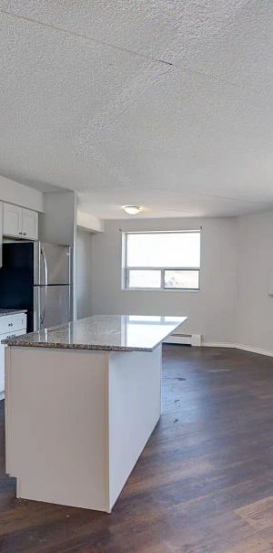 46 Gale Crescent — 1B, Junior, 1bath - Photo 1