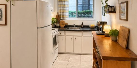 1 CH - 1 SDB - Montréal - $1,250 /mo - Photo 3