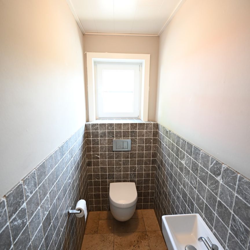 ALLEENSTAANDE & ZEER RUIME (246m²) villa - Foto 1