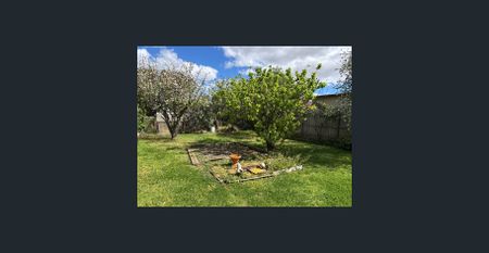 Prime Location, Space & School Zoning! - Photo 3