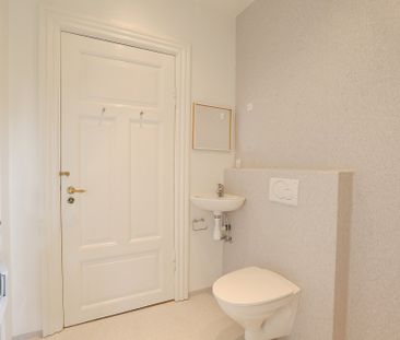 Stor herskabslejlighed i centrum - Photo 2