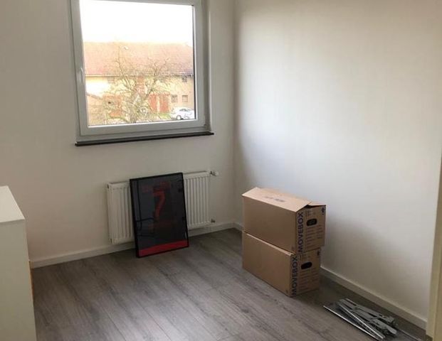 Schöne 4-Zimmer-Wohnung in ruhiger Lage zu vermieten - Foto 1