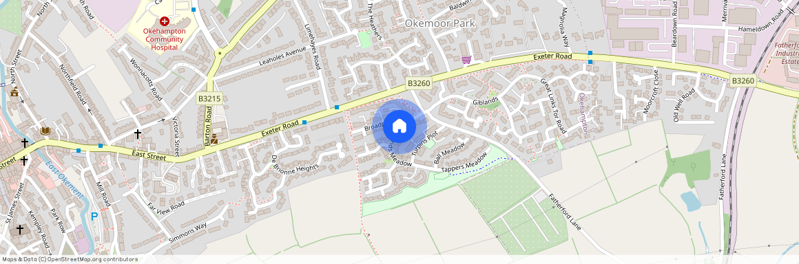 Wadlands Meadow, Okehampton, Devon, EX20