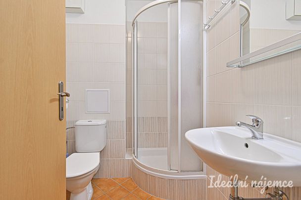 Pronájem bytu 1+kk 30 m² - Fotografie 1