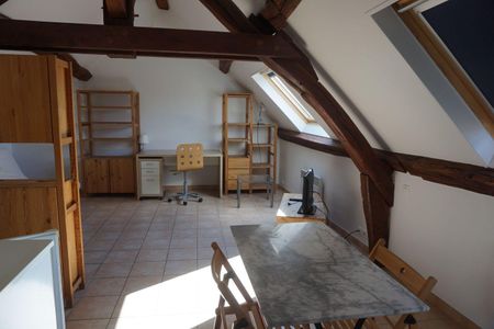Location Appartement 1 pièce 25m² SENS 89100 - Photo 3