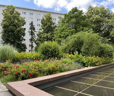 Großzügige 2-Raum-Wohnung nahe Theaterplatz - Foto 1