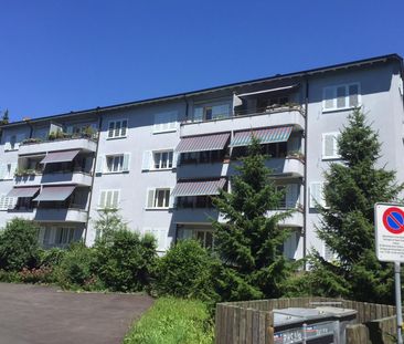 3.5 Zimmer, 62 m², EG - Photo 1