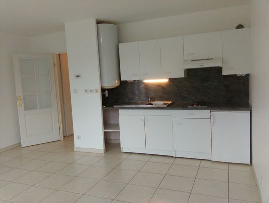 Location Appartement 1 pièce 28m² ST JEAN DE BRAYE 45800 - Photo 1