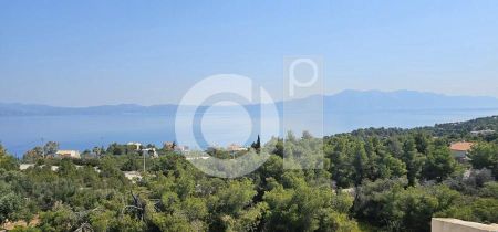 Διαμέρισμα για ενοικίαση Μαλεσίνα - Photo 3