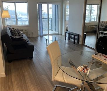 3bed,3bath Fully furnished UBCO condo in the U2 West Building - Photo 4