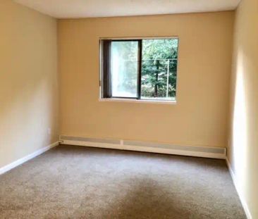 Olympic View Terrace — 2 Bedroom - Photo 2