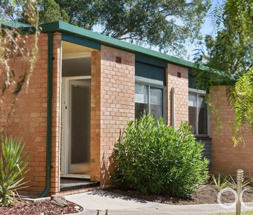 Open the Door to Peaceful Living in a Leafy Creekside Setting - Photo 6