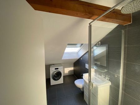 Rooftop apartment seeks residents - Photo 3