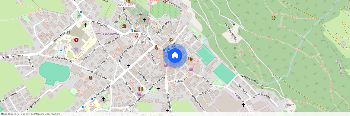 Schützengasse 4, 6460 Altdorf