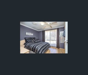 OUTSTANDING 3 x 1 ARMDALE HOME IN QUIET NEIGHBOURHOOD - Photo 4