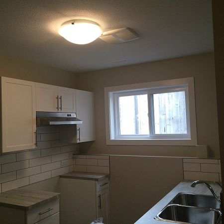 Renovated 1 Bedroom Basement Suite Deer Park! - Photo 4