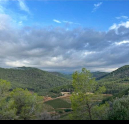 Sant Pere de Ribes, Catalonia 08810 - Photo 5